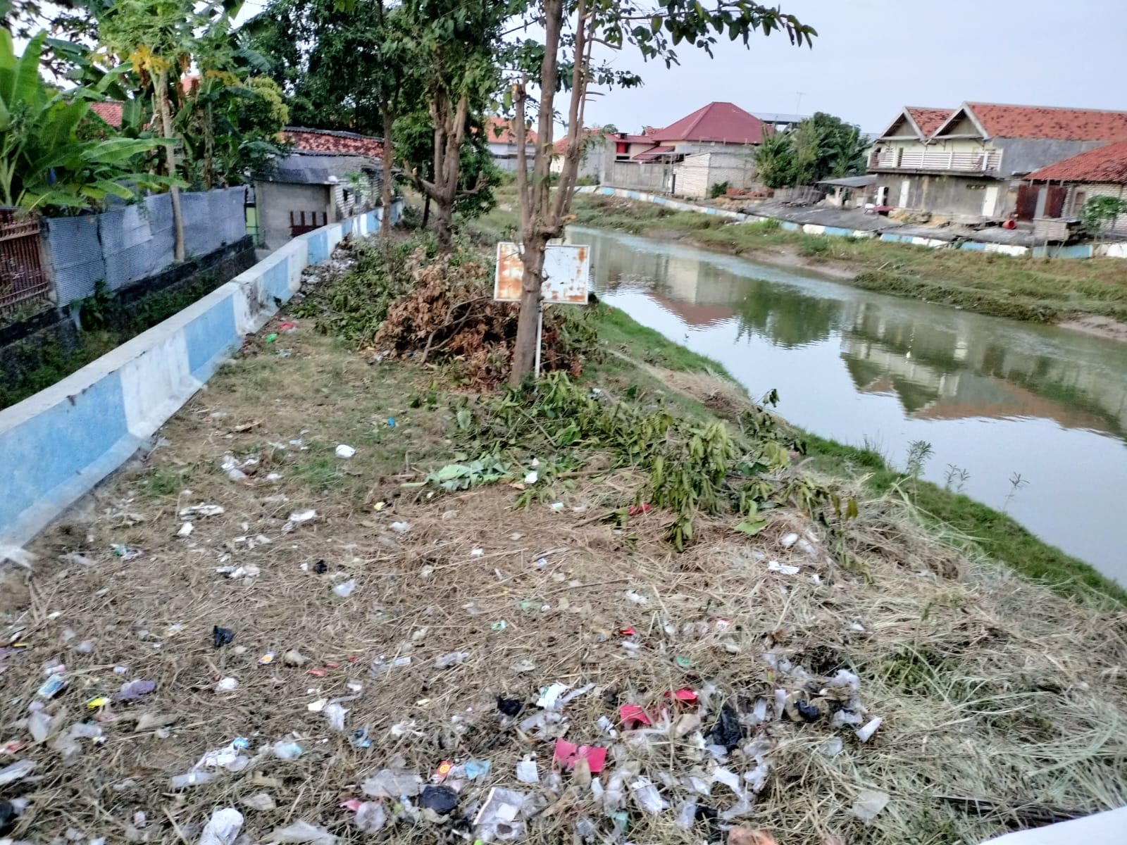 Asal Tebang pohon Demi Penilaian Adipura, Warga Sampang Geram