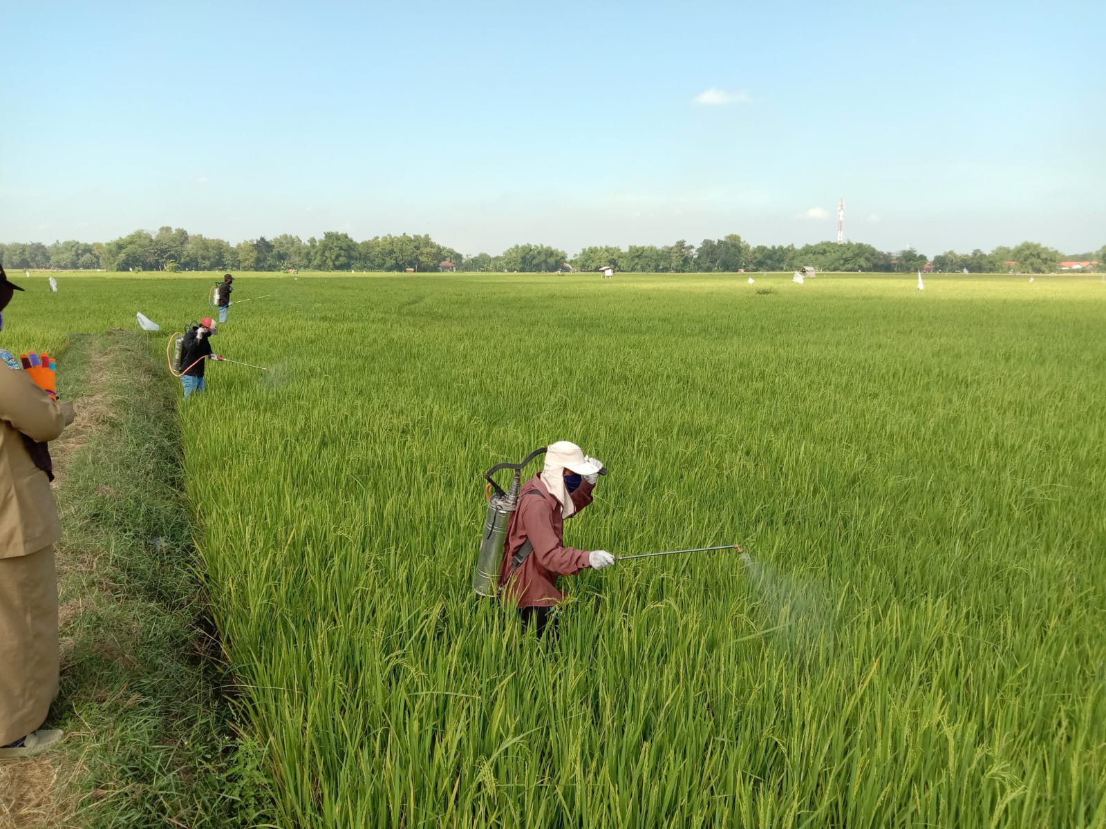 Dana Rp. 700 Juta, Pokir Dewan Fokus Pengeboran Jiat