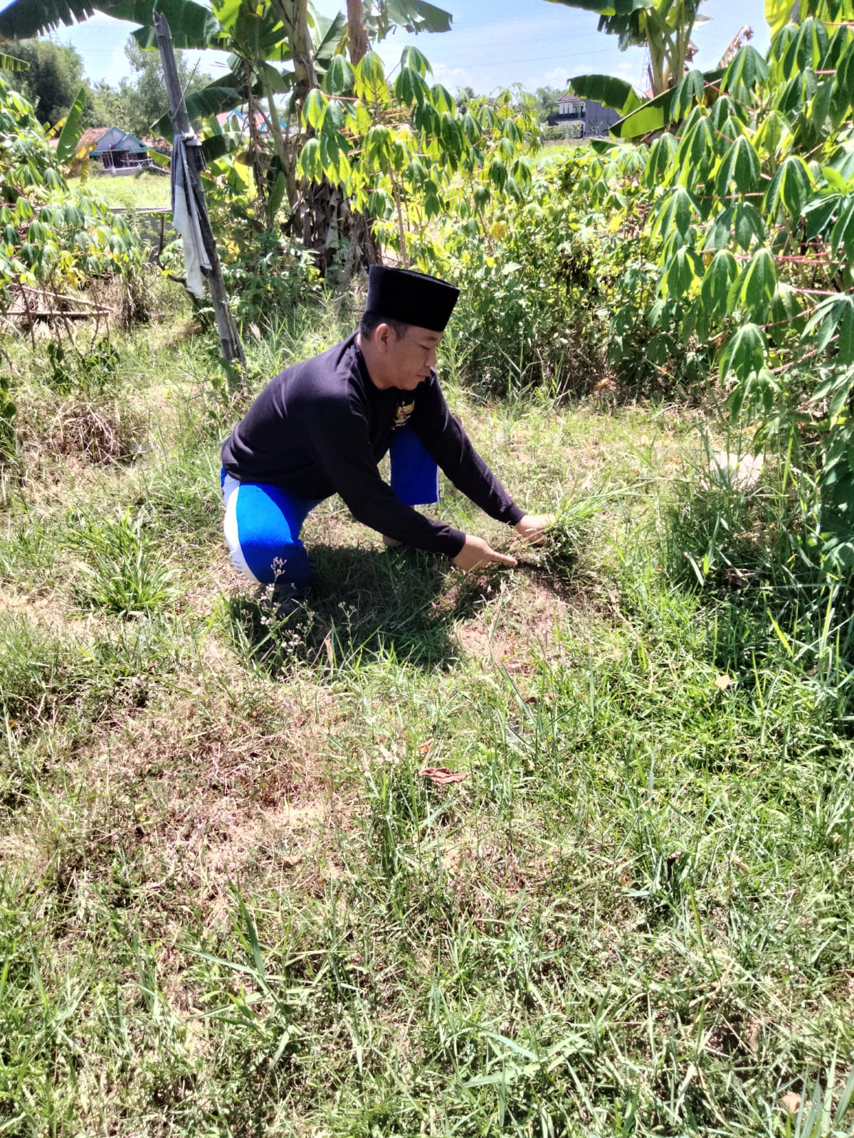Berawal Dari Tukang Cari Rumput Kini Menjabat Anggota DPRD Sampang Tiga Periode
