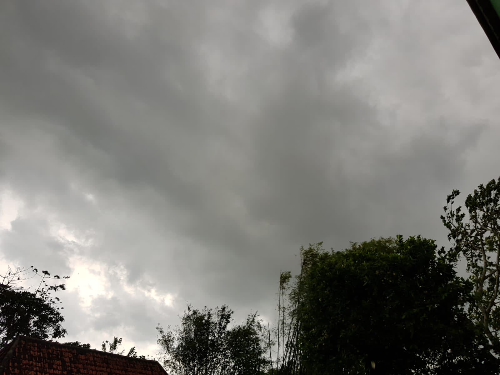 Angin Kencang Kembali Landa Daerah Bangkalan