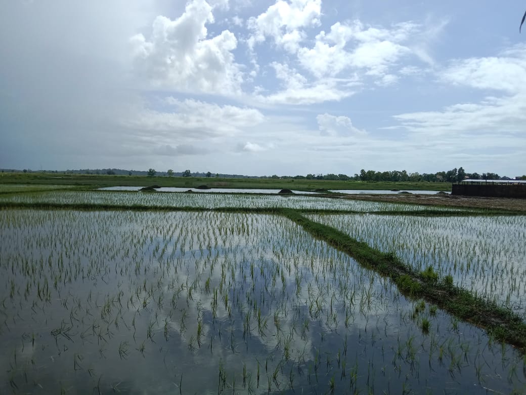 Akibat Kartu Tani Belum Rampung, Pengawasan Penyaluran Pupuk Subsidi di Bangkalan Lemah