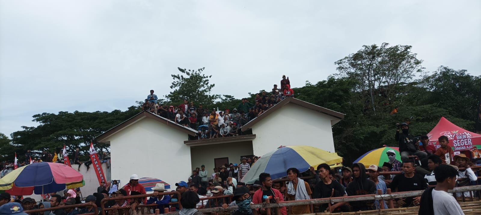 Sampang Borong Piala Presiden Kerapan Sapi 2022