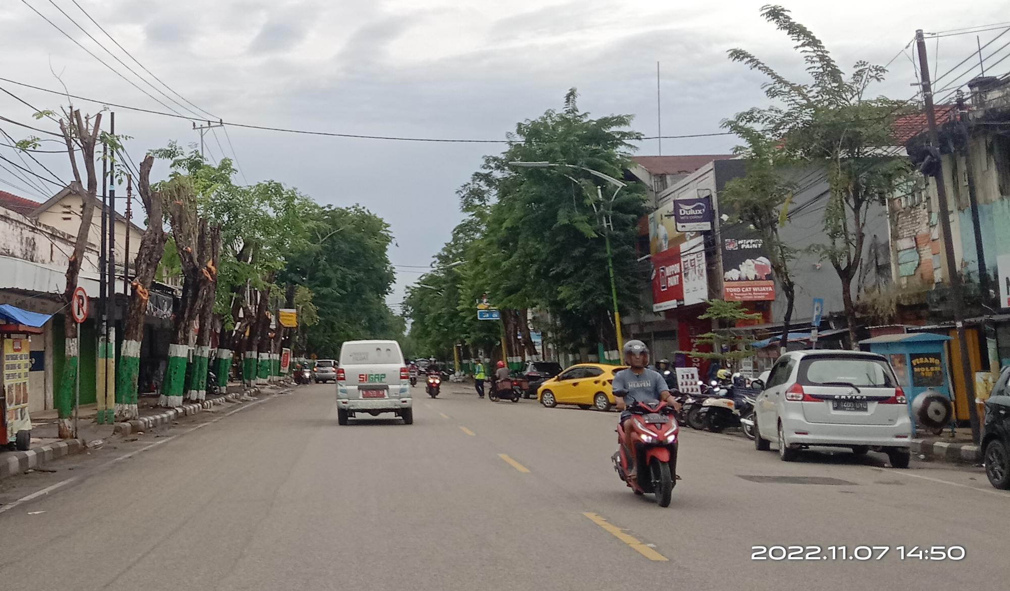 DLH Pamekasan Bungkam Atas Pemangkasan Pohon Diseputaran Kota Pamekasan