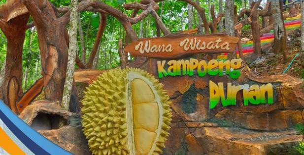 Kampung Durian Pamekasan Jadi Penarik Wisatawan Ke Madura