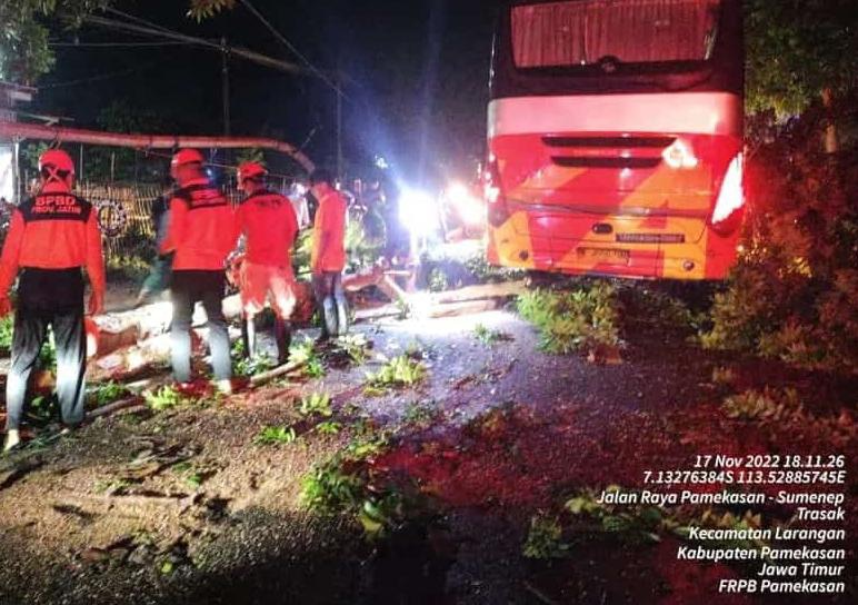 Hujan Disertai Angin Kencang Robohkan Tiang Serta Pohon Satu Bus Rusak