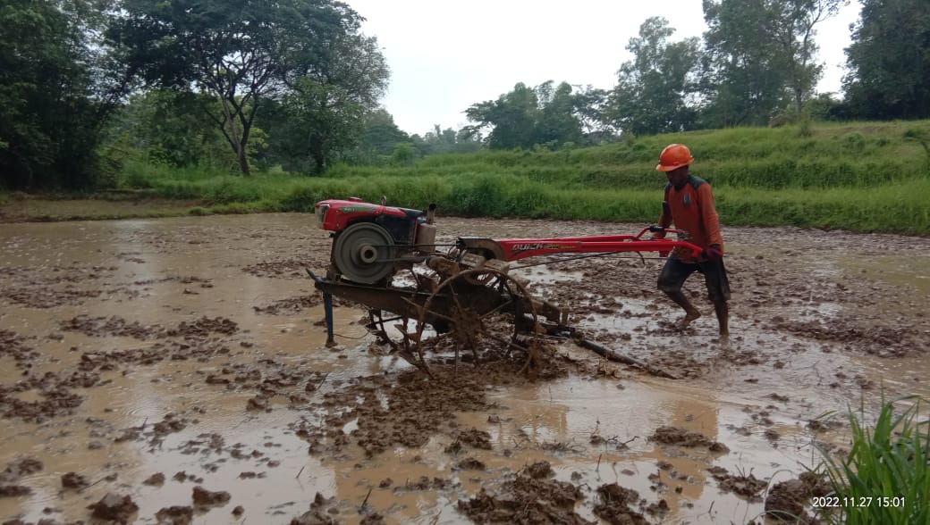 Kartu Tani Belum Merata Pupuk Bersubsidi Tidak Sampai Ke Petani