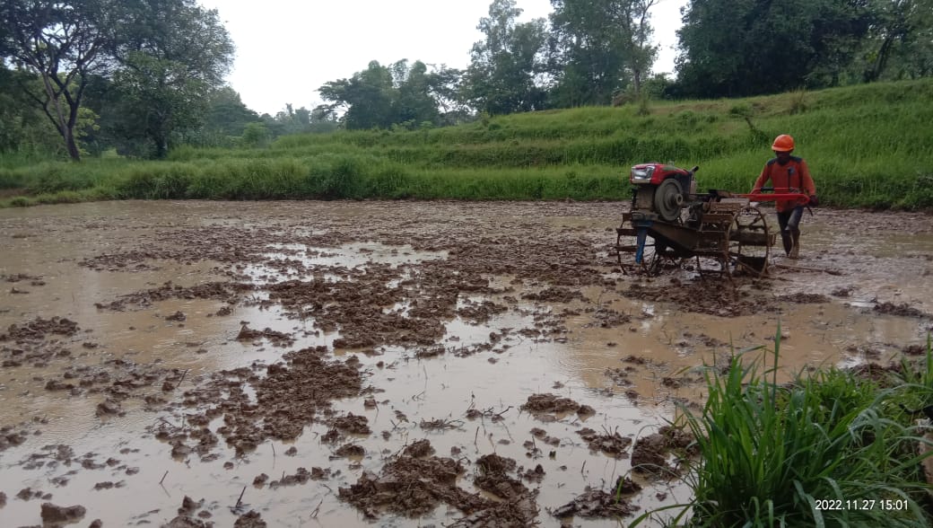 Petani Berikan Respon Negatif Terhadap Dinas Pertanian Bangkalan
