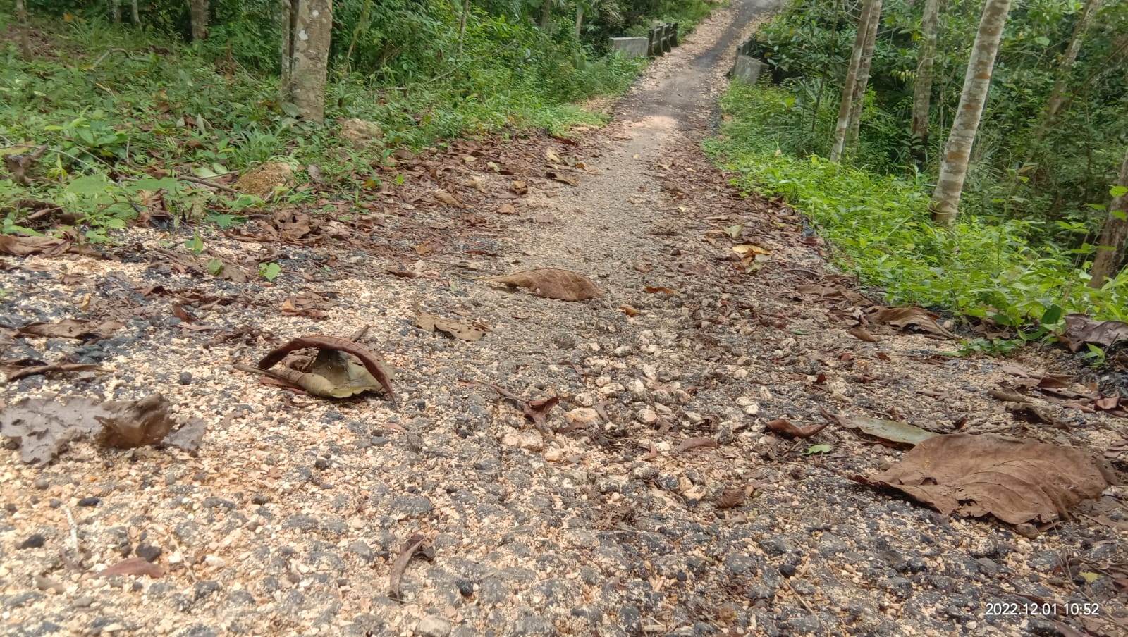 Pokmas Milik Anggota DPRD Bangkalan Tidak Sampai Dua Bulan Sudah Hancur