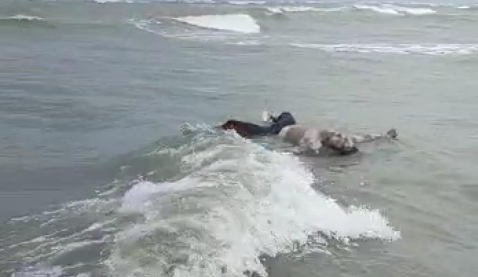 Mayat Jenis Laki-Laki Ditemukan Mengambang Di Laut