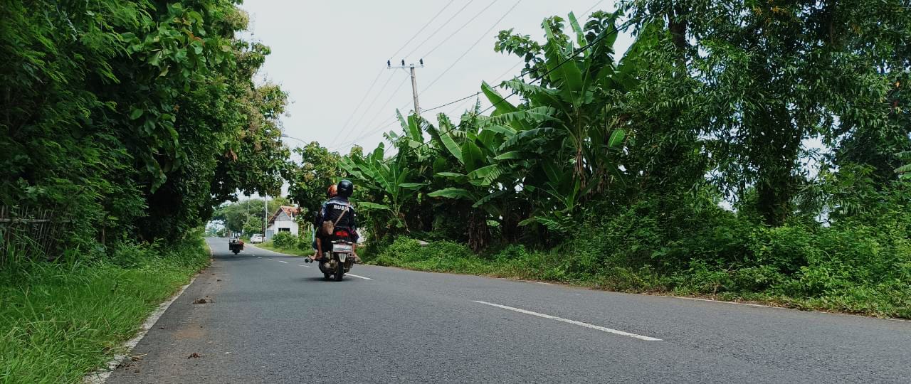 Misteri Penunggu Jalan Jembatan Sembung Gulbung, Banyak Terjadi Kecelakaan
