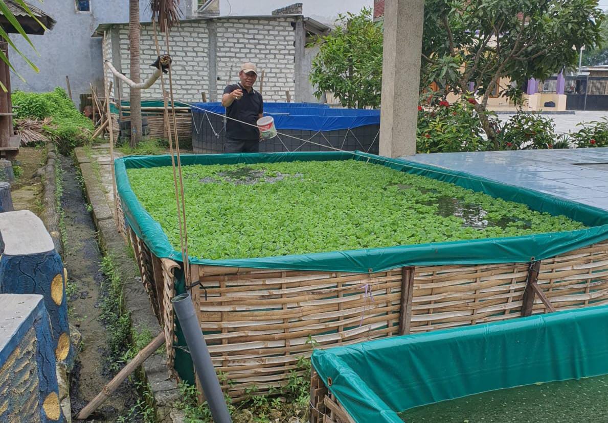 Kecamatan Torjun Bakal Jadi Pusat Budidaya Ikan Lele Skala Nasional