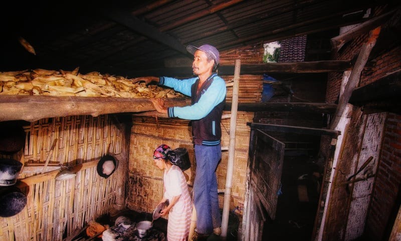 Dhurung, Lumbung Multifungsi Untuk Simpan Hasil Bumi Padi Dan Jagung