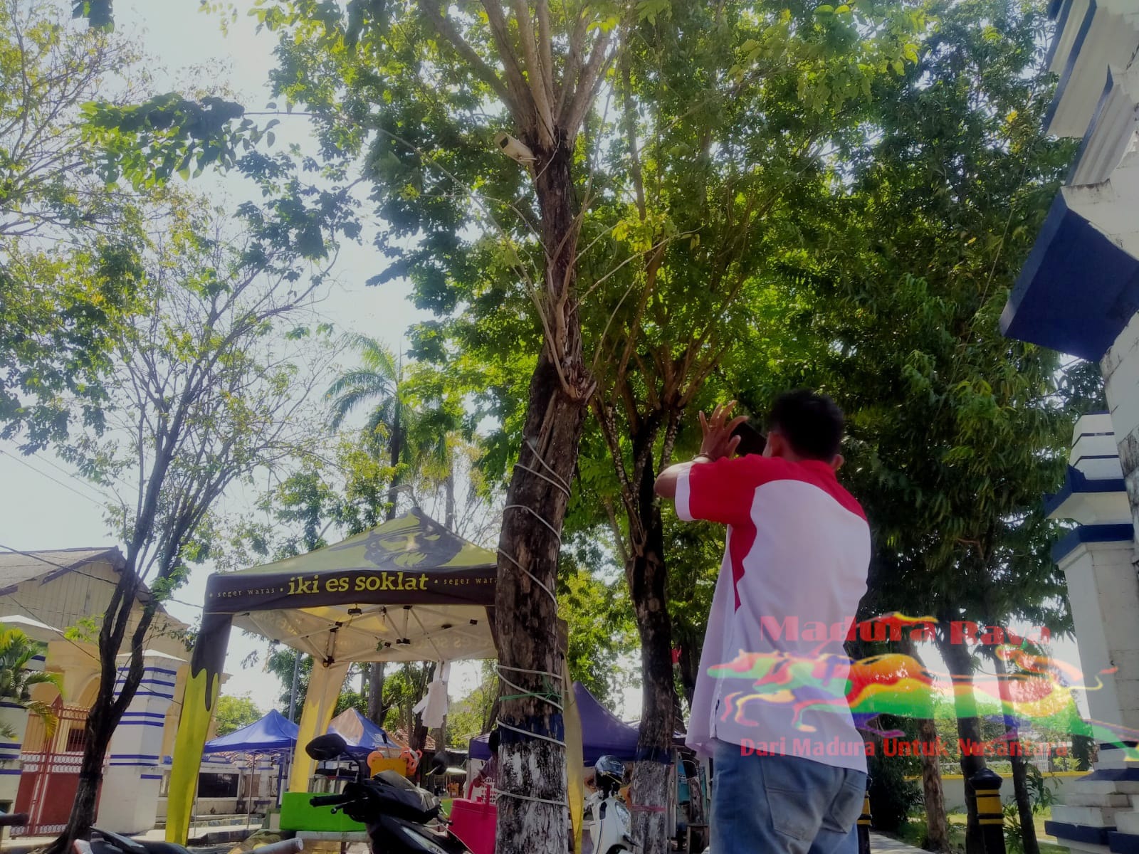 Alun-Alun Trunojoyo Mulai Tidak Hebat, Jadi Sarang Bagi Para Komplotan Maling