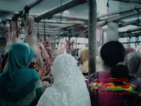 Belum Ada Kenaikan, Jelang Idul Adha Harga Daging Masih Stabil, Pedagang Akui Pembeli Santui