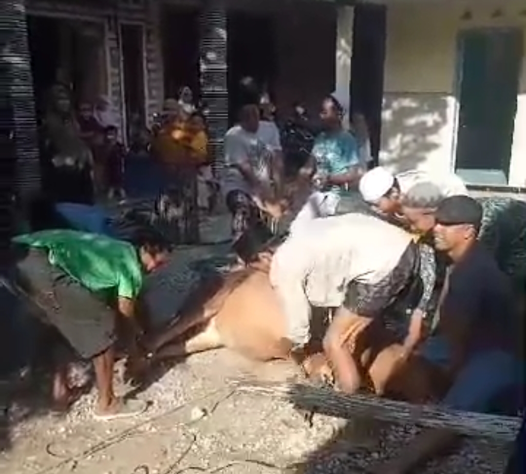 Makna Idul Adha Sebagai Wujud Ketaatan Hamba Dan Peduli Umat Sesama