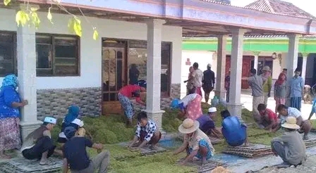 Petani Tembakau Resah, Adanya Potensi Hujan