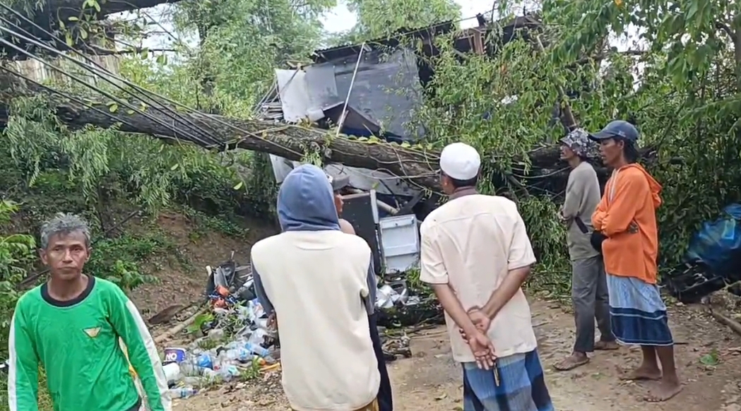 Akibat Angin Kencang di Sertai Hujan, Pohon Roboh di Sampang Timpa Bangunan Warga