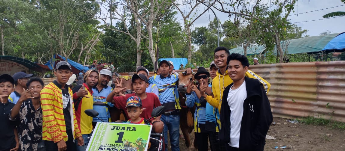 Tim Kerapan Sapi Bojoku Nakal Laskar Trunojoyo Raih Juara 1 di Piala HUT Putra Mahkota