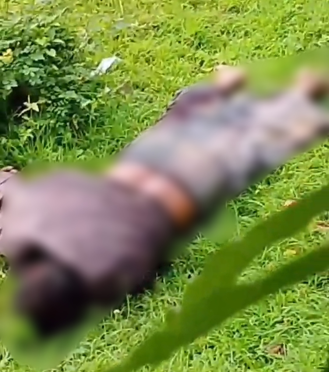 Diduga Korban Pembunuhan, Seorang Pria di Sampang Meninggal di Lahan Kosong