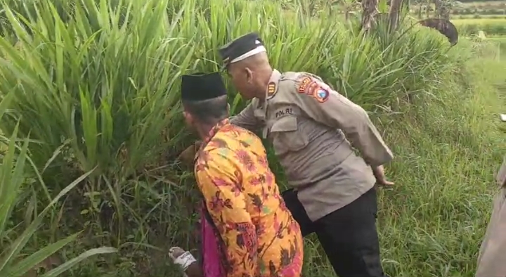 Penemuan Bayi di Sawah Warga Gegerkan Warga Banyuates Sampang