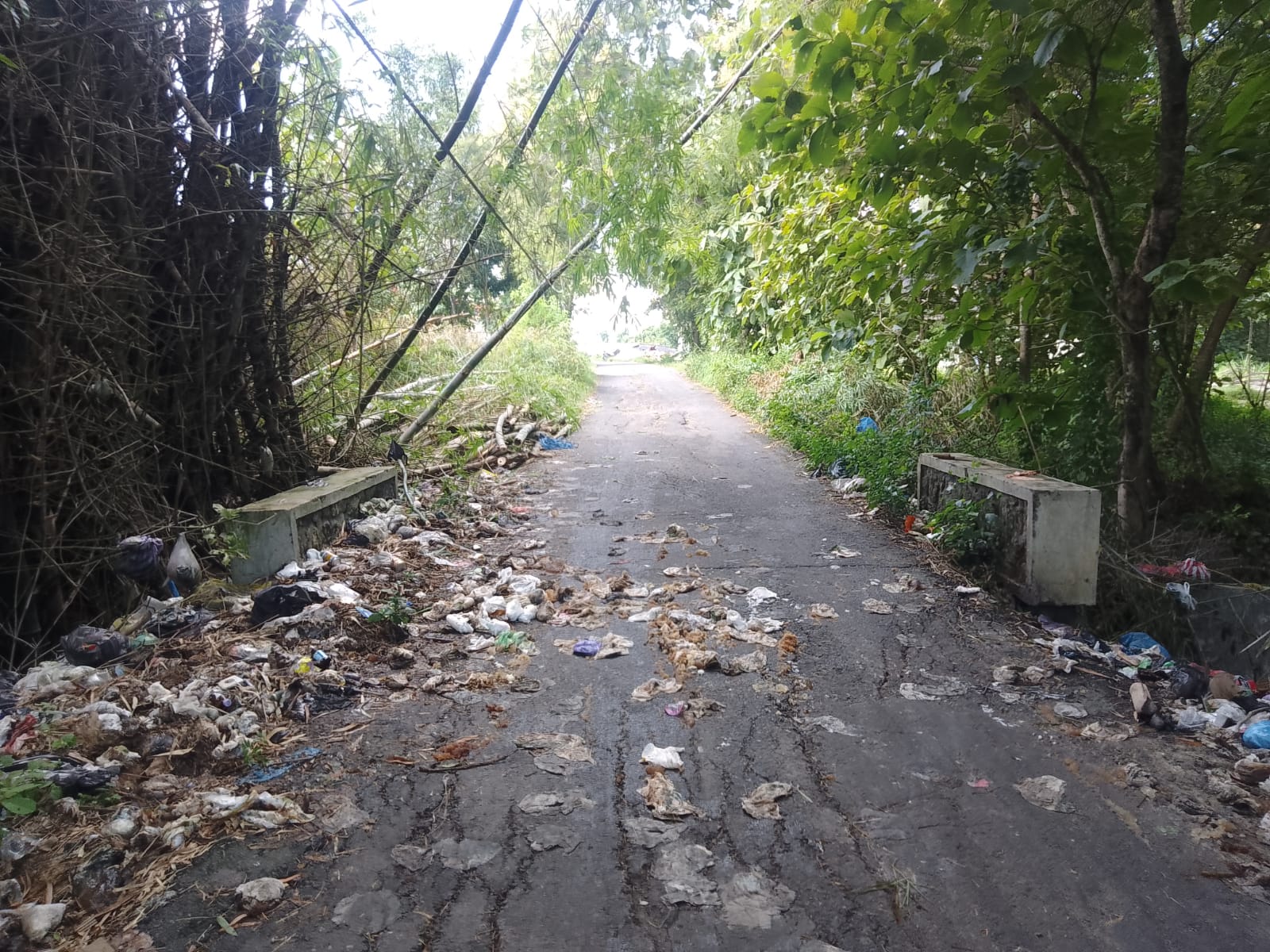 Warga Soroti Sampah Popok Berserakan di Akses Jalan Gulbung