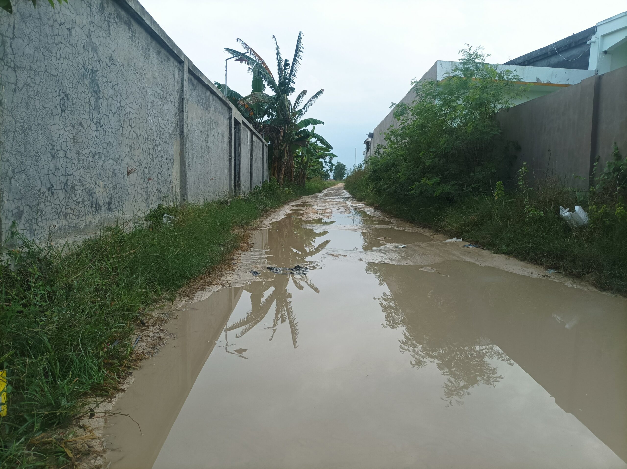 Sorotan Bupati Sampang, dan PJ Desa Ragung Segera Turun Tangan Jalan Poros Desa Kampung Taman