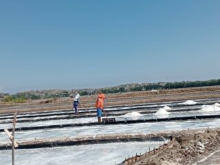 Petani Garam Kecamatan Pangarengan