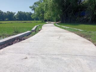 Dana Desa Dipertanyakan, Rabat Beton Baru di Krampon Sudah Retak