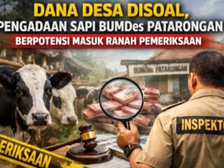 Dana Desa Disoal, Pengadaan Sapi BUMDes Patarongan Berpotensi Masuk Ranah Pemeriksaan