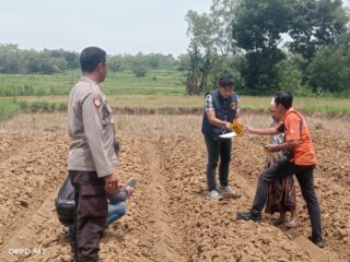 Petani Sampang Tewas Ditombak di Sawah
