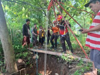 Evakuasi Dramatis di Desa Gulbung, Sapi Terperosok Berhasil Diangkat Selamat