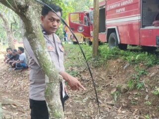 Rumah Lansia di Torjun Ludes Dilalap Api, Dua Bangunan Hangus Diduga Akibat Korsleting Listrik