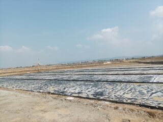 Petambak Garam Sampang Tahan 35.300 Ton Stok Panen, Harga Dinilai Belum Layak Meski Produksi Tahun ini Kemarau Panjang