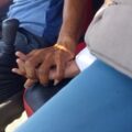 Pelajar Putri Diduga Jadi Korban Pelecehan di Bus Mini, Rekaman Video Berujung Penangkapan Sopir